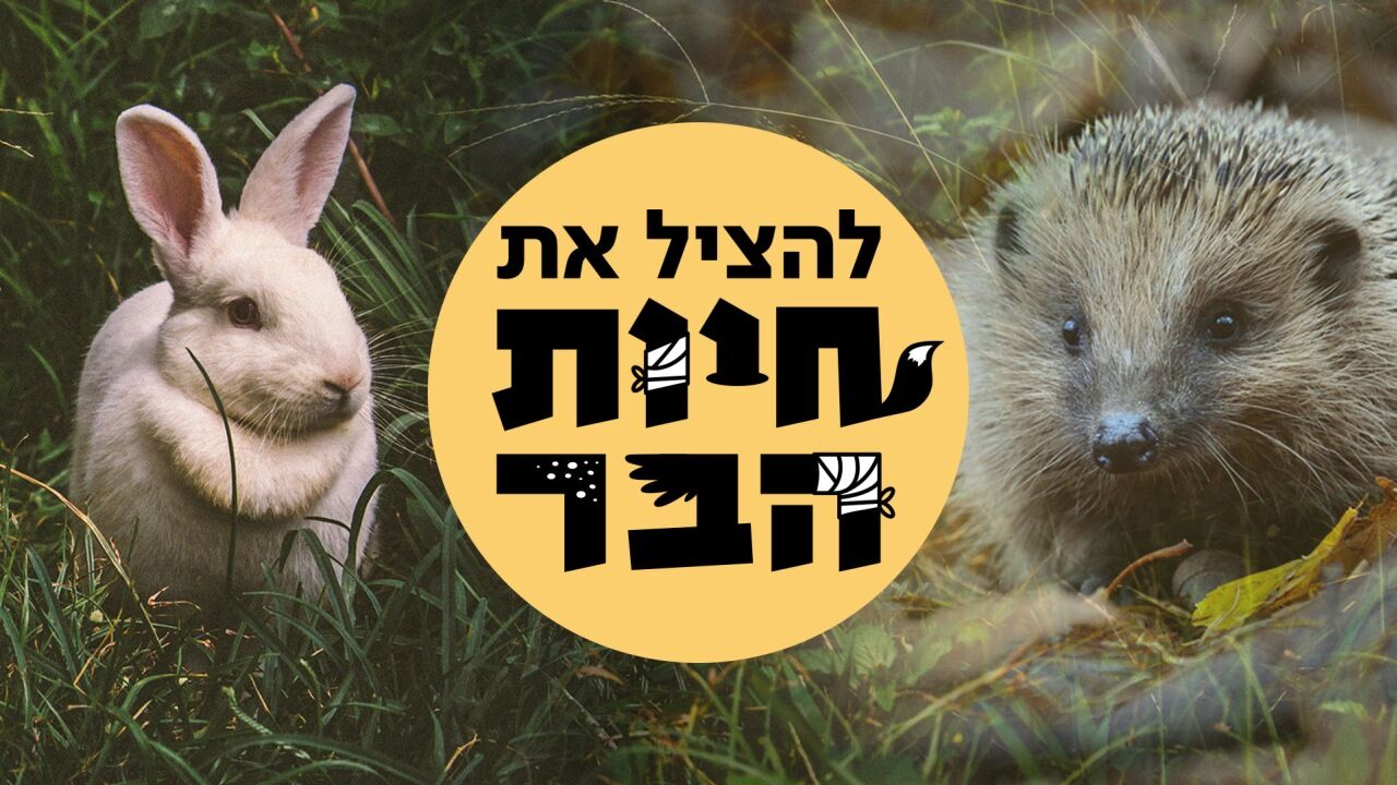 להציל את חיות הבר 2 - ערבית - 5. דוכיפת