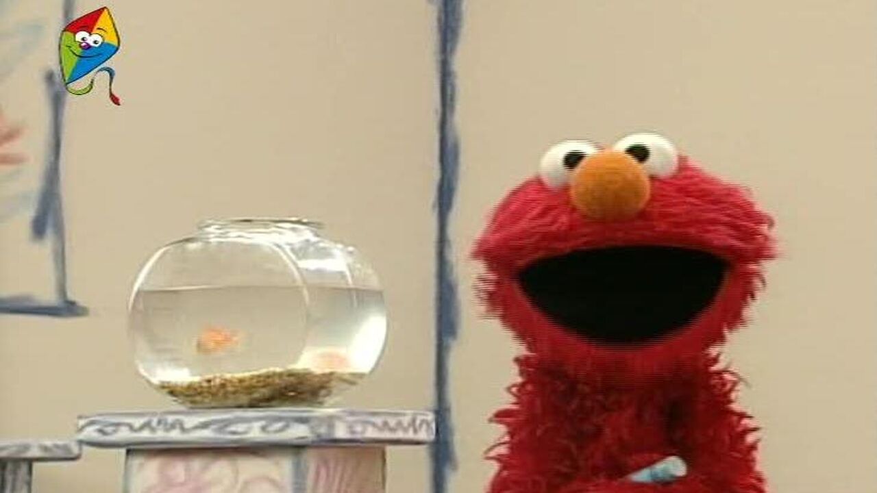 קולנוע הופ!- חברים פרוותיים