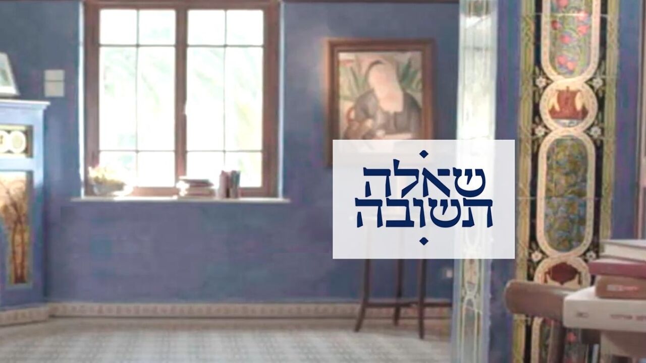 שאלה תשובה 3 - רפאל ומוטי