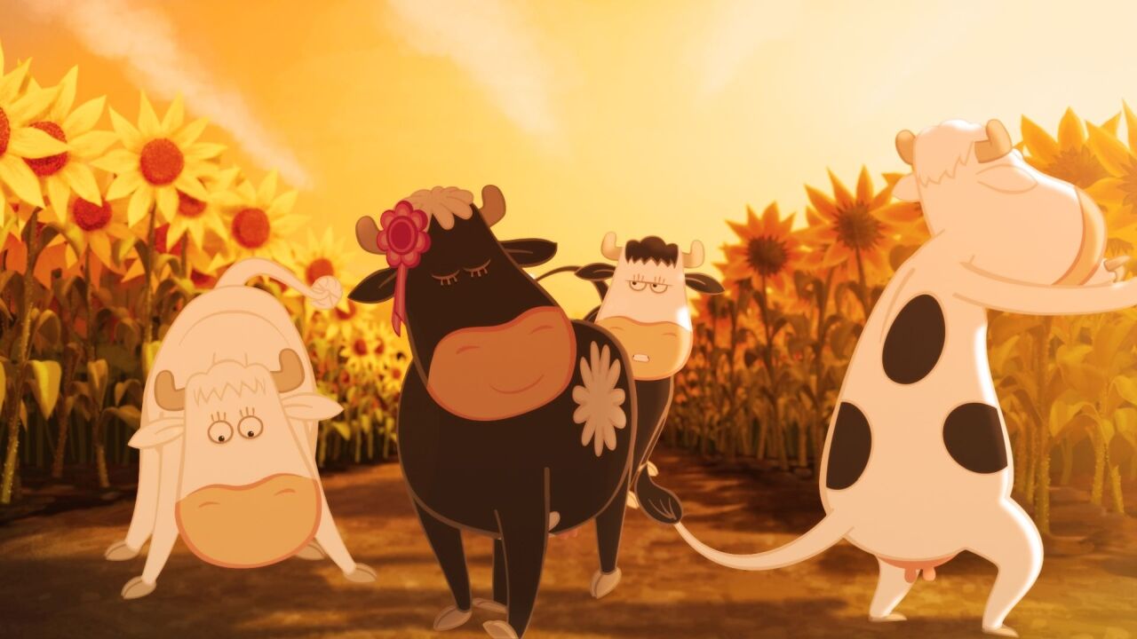 קולנוע הופ!- המסע המווושלם