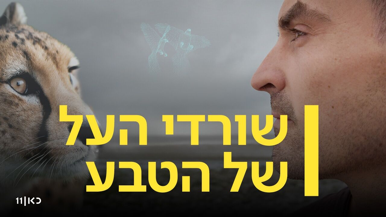 שורדי העל של הטבע 2 - פרק 4