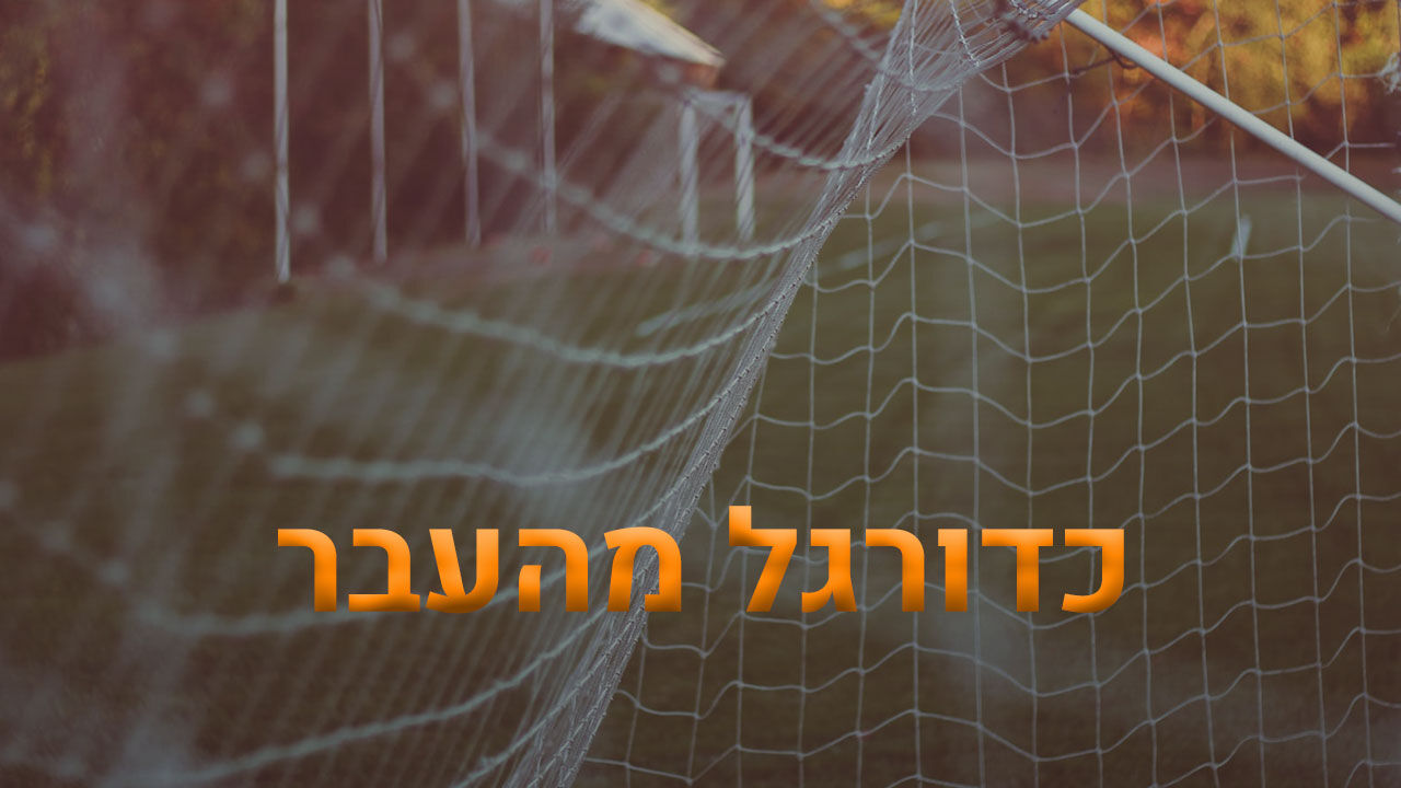 ישראל - ארגנטינה, 1993/4