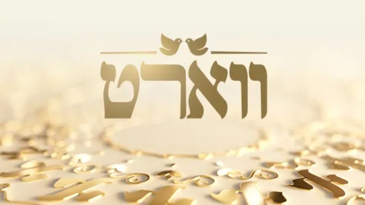 ווארט - הזדמנות נוספת לאהבה