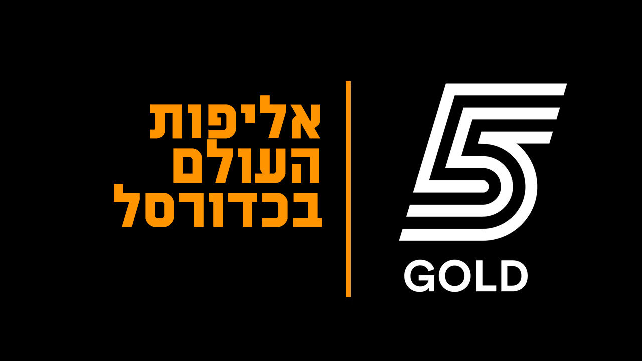 ארגנטינה - ספרד, 2006