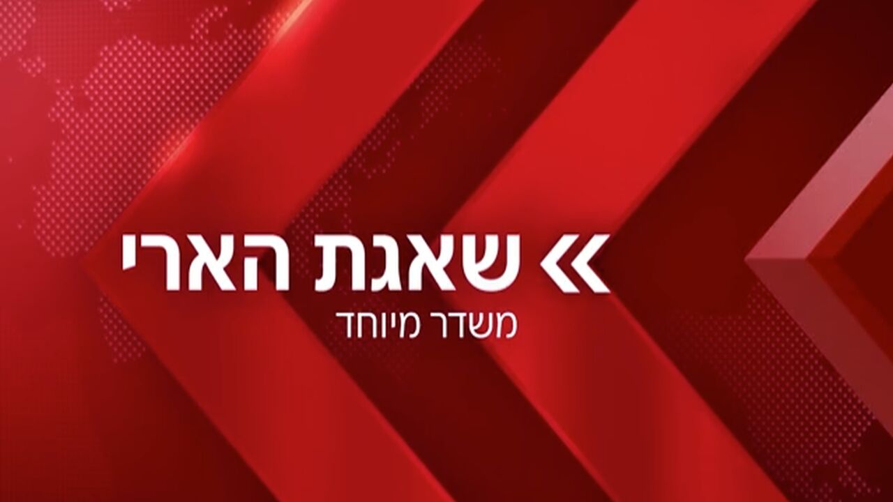 משדר מיוחד - מבצע שאגת הארי