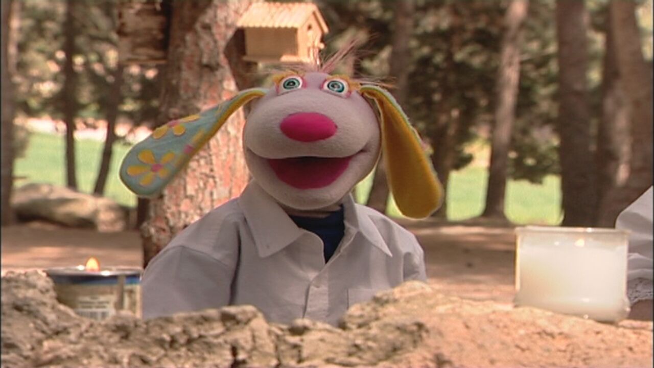 חיבוקים ליום הזיכרון