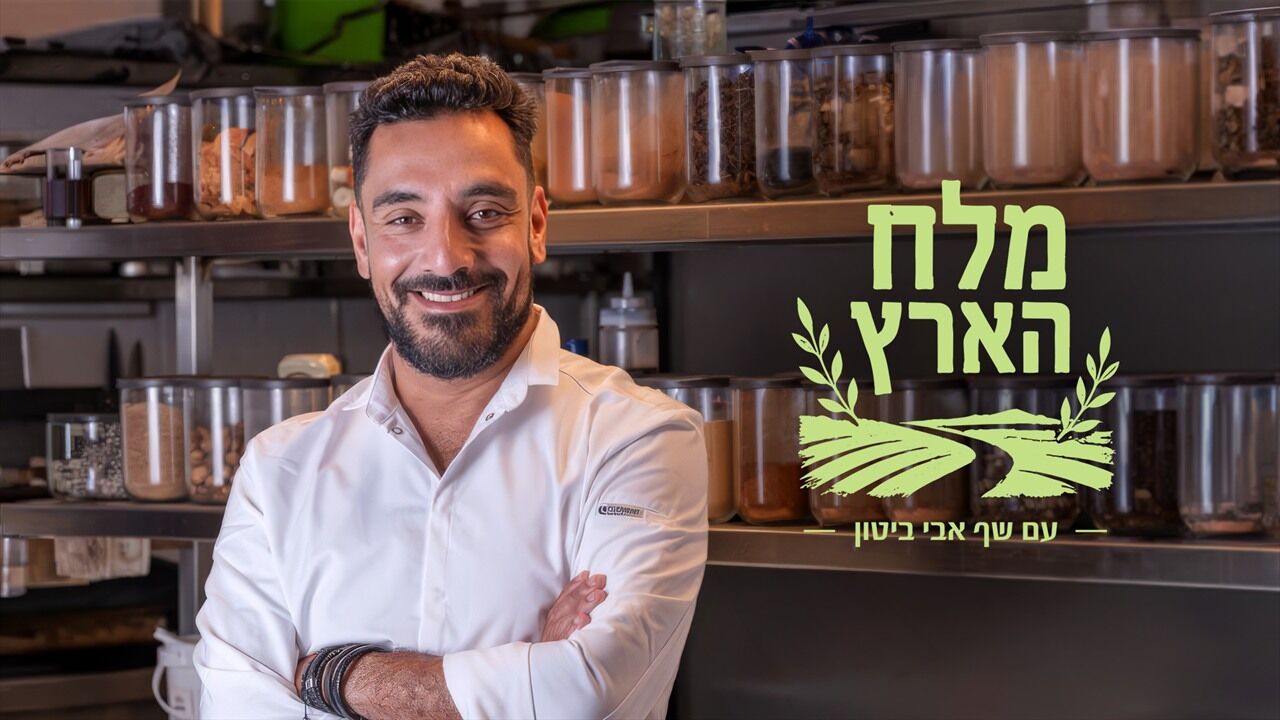 מלח הארץ - שונית דקל, 
